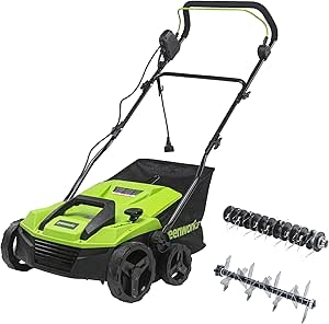 Dethatcher — Electric Lawn